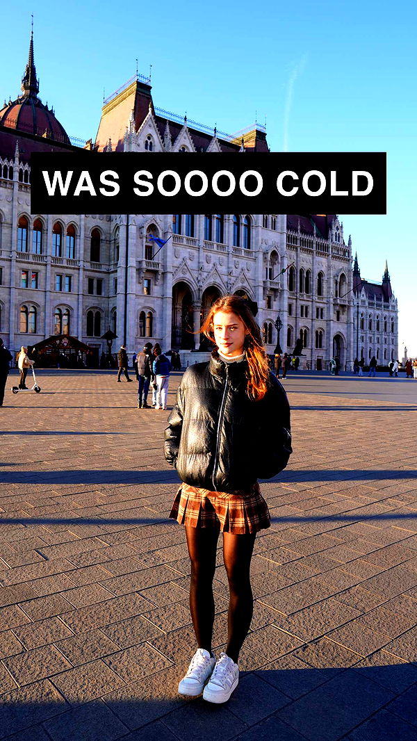 mira.0004 image ~ Altpins