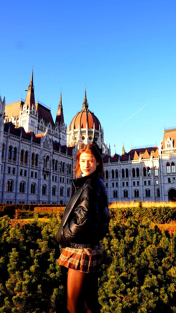 mira.0004 image ~ Altpins