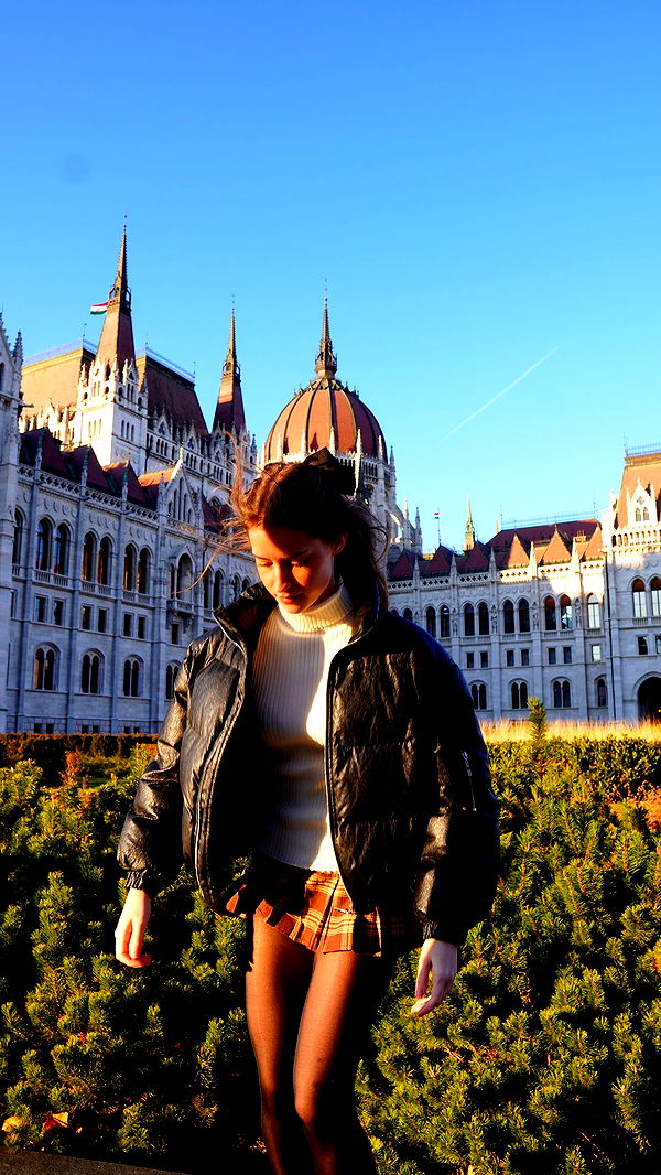 mira.0004 image ~ Altpins