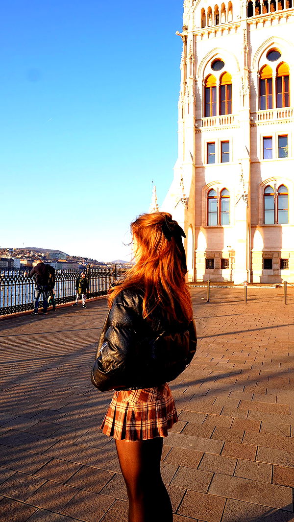 mira.0004 image ~ Altpins