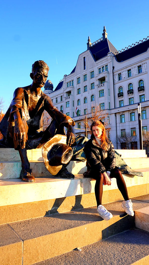 mira.0004 image ~ Altpins