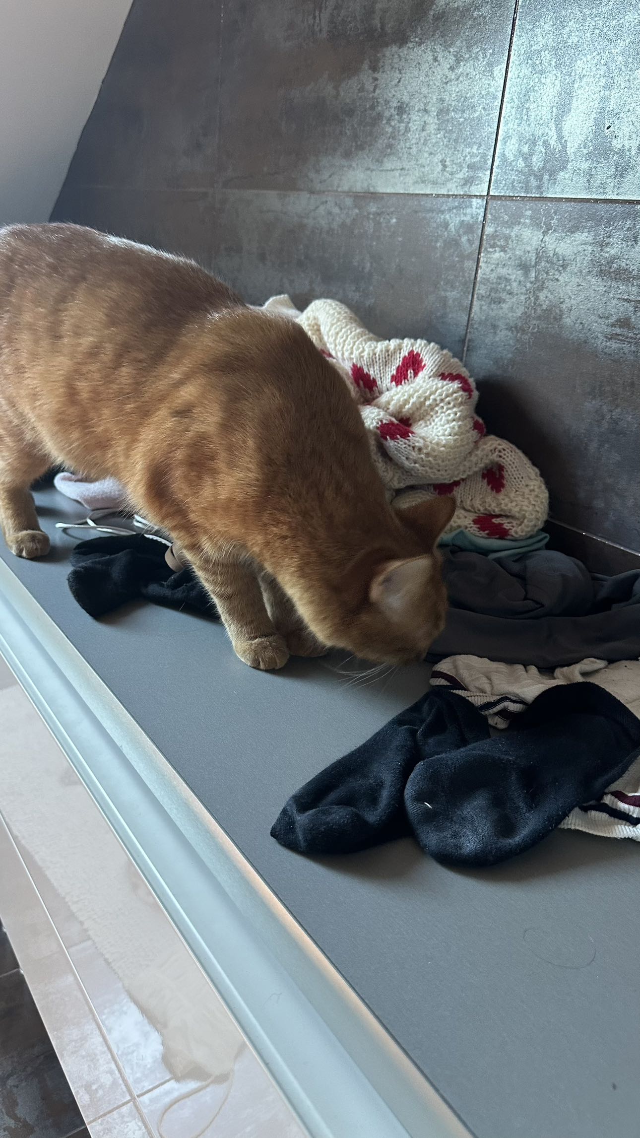 mira.0004 snapchat image archive image