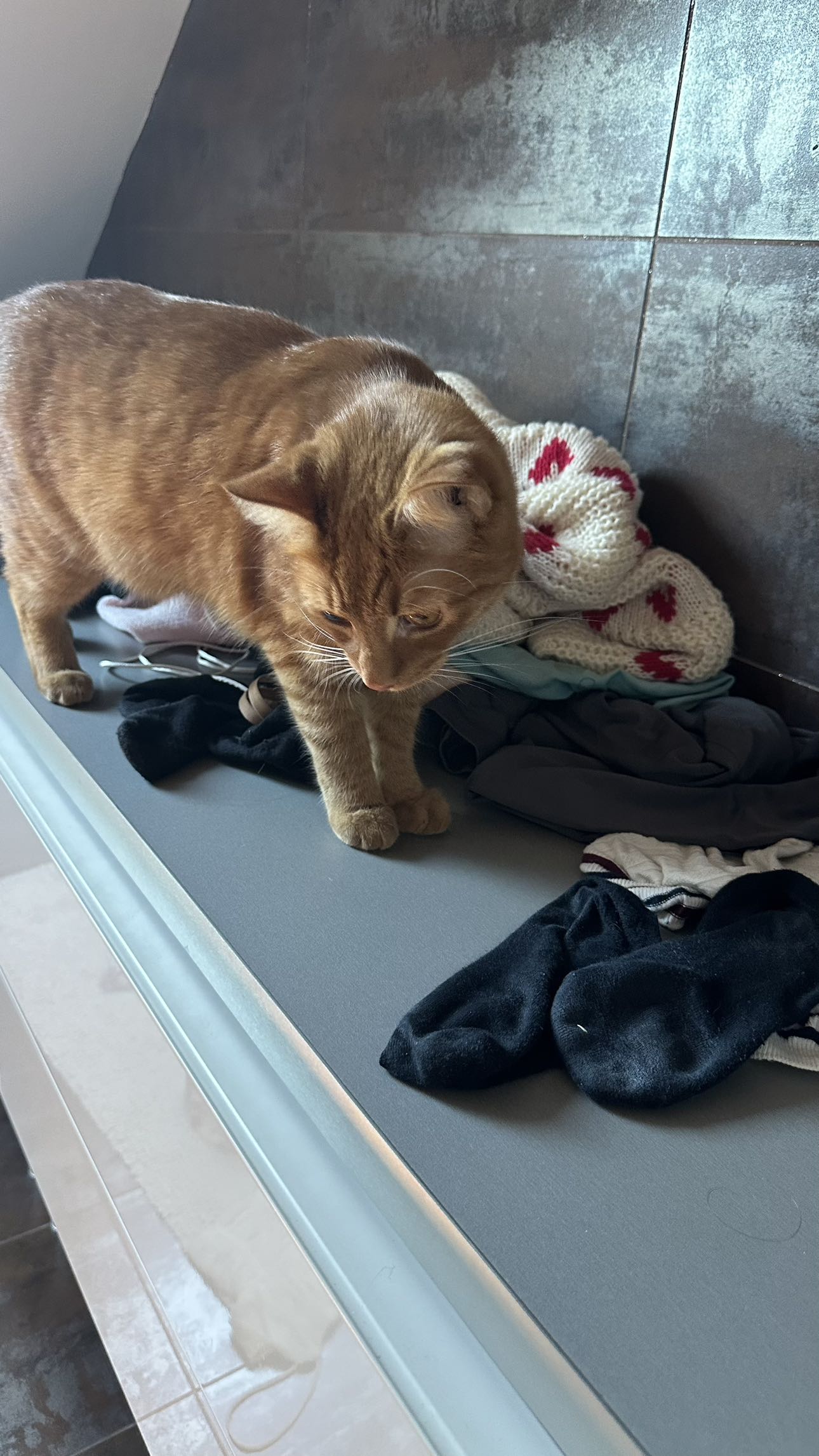 mira.0004 snapchat image archive image