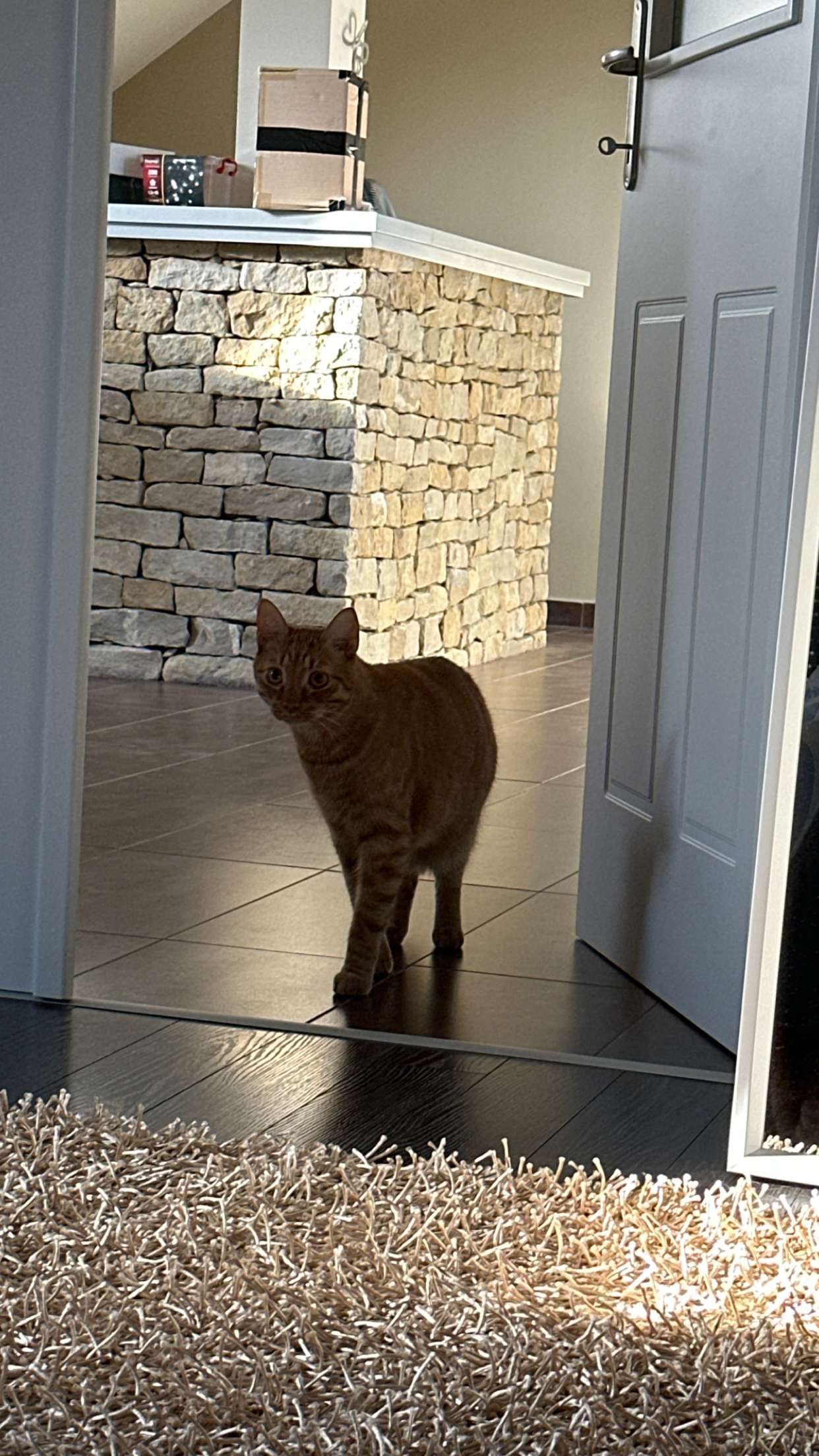 mira.0004 snapchat image archive image