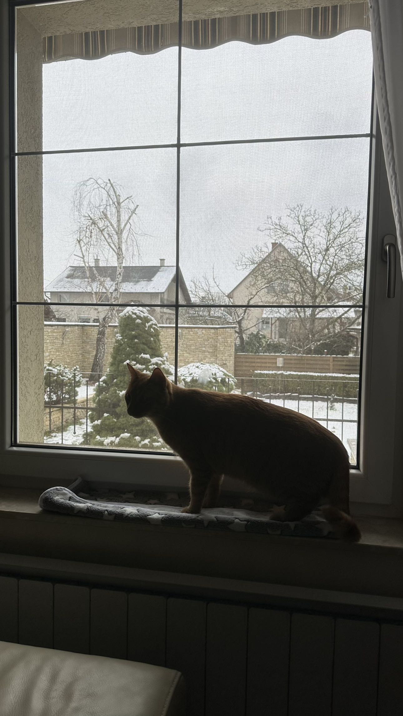 mira.0004 snapchat image archive image