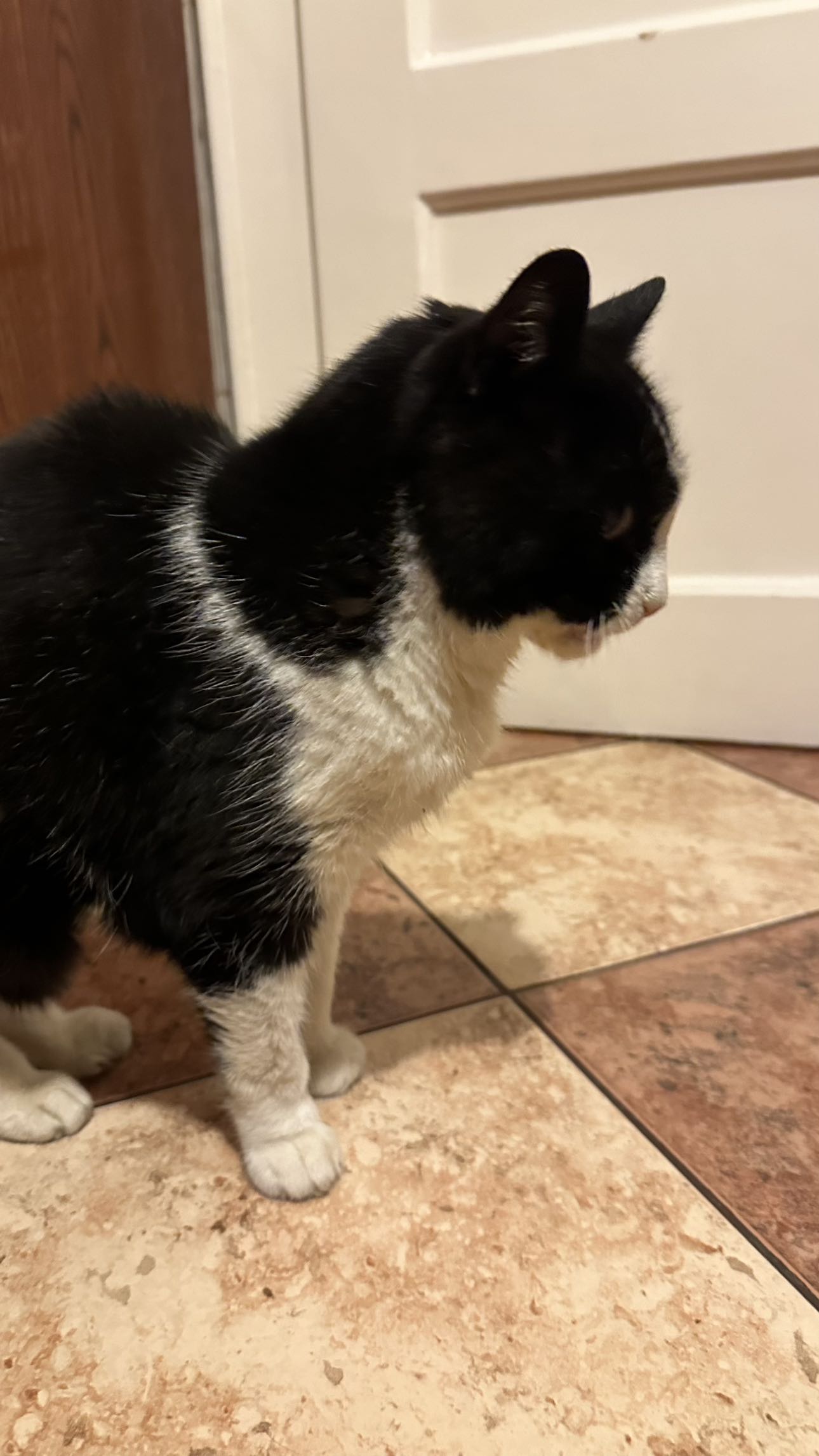 mira.0004 snapchat image archive image