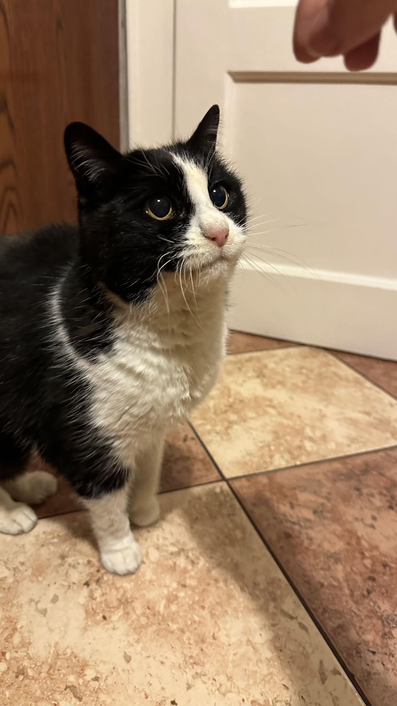 mira.0004 snapchat image archive image