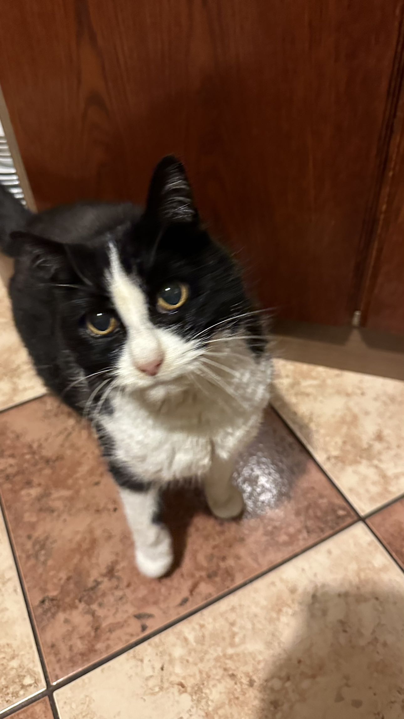 mira.0004 snapchat image archive image