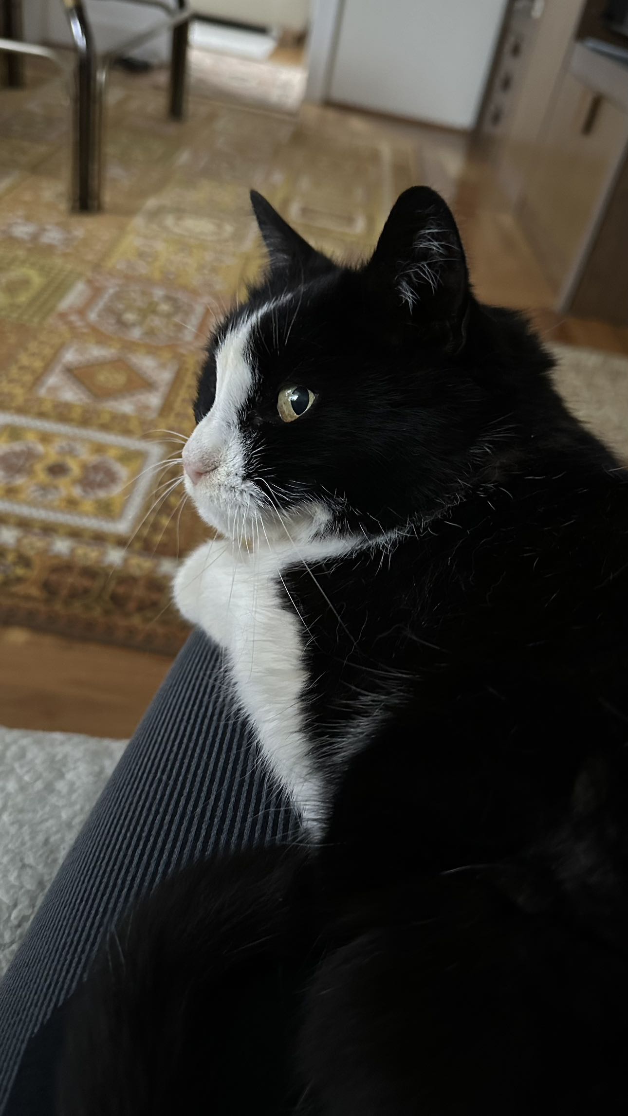 mira.0004 snapchat image archive image