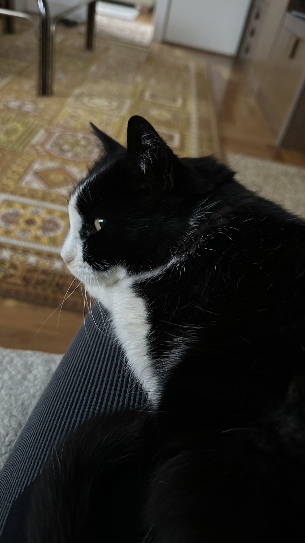 mira.0004 snapchat image archive image