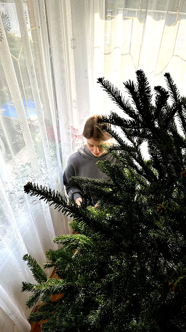 mira.0004 image ~ Altpins