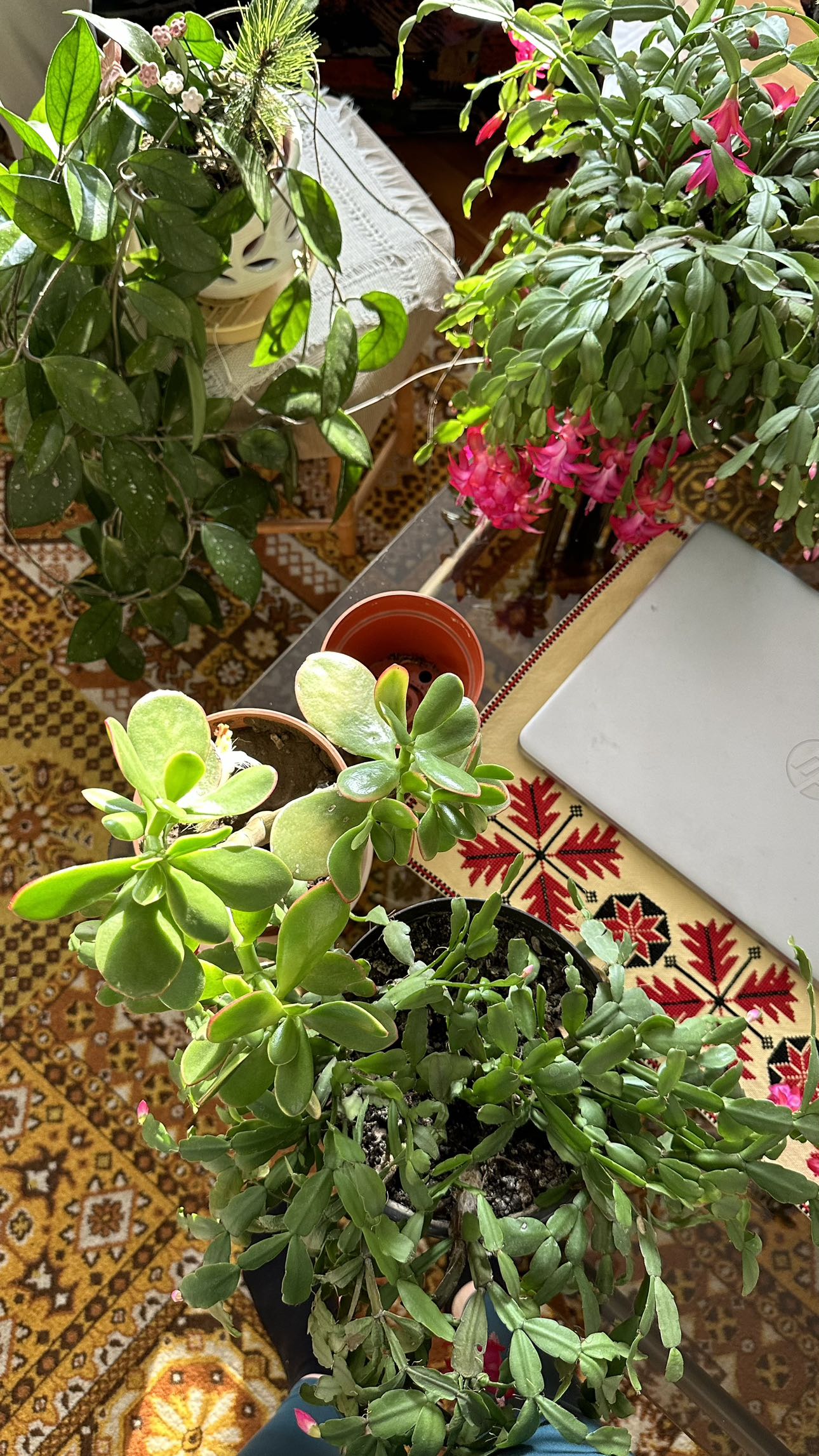 mira.0004 snapchat image archive image