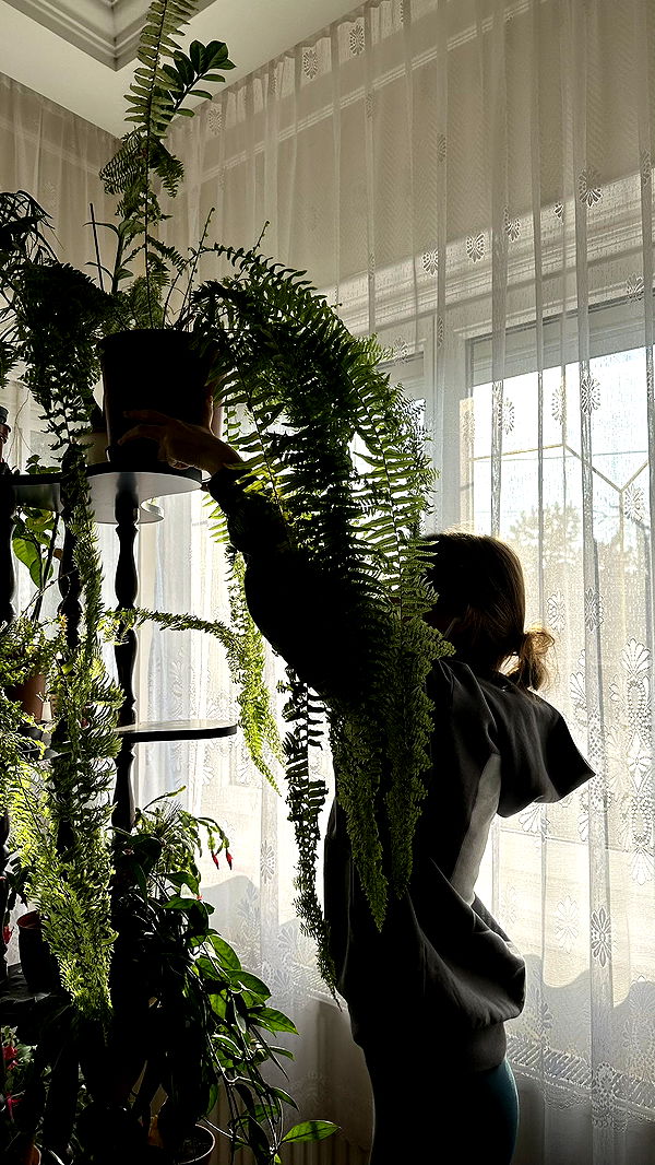 mira.0004 image ~ Altpins