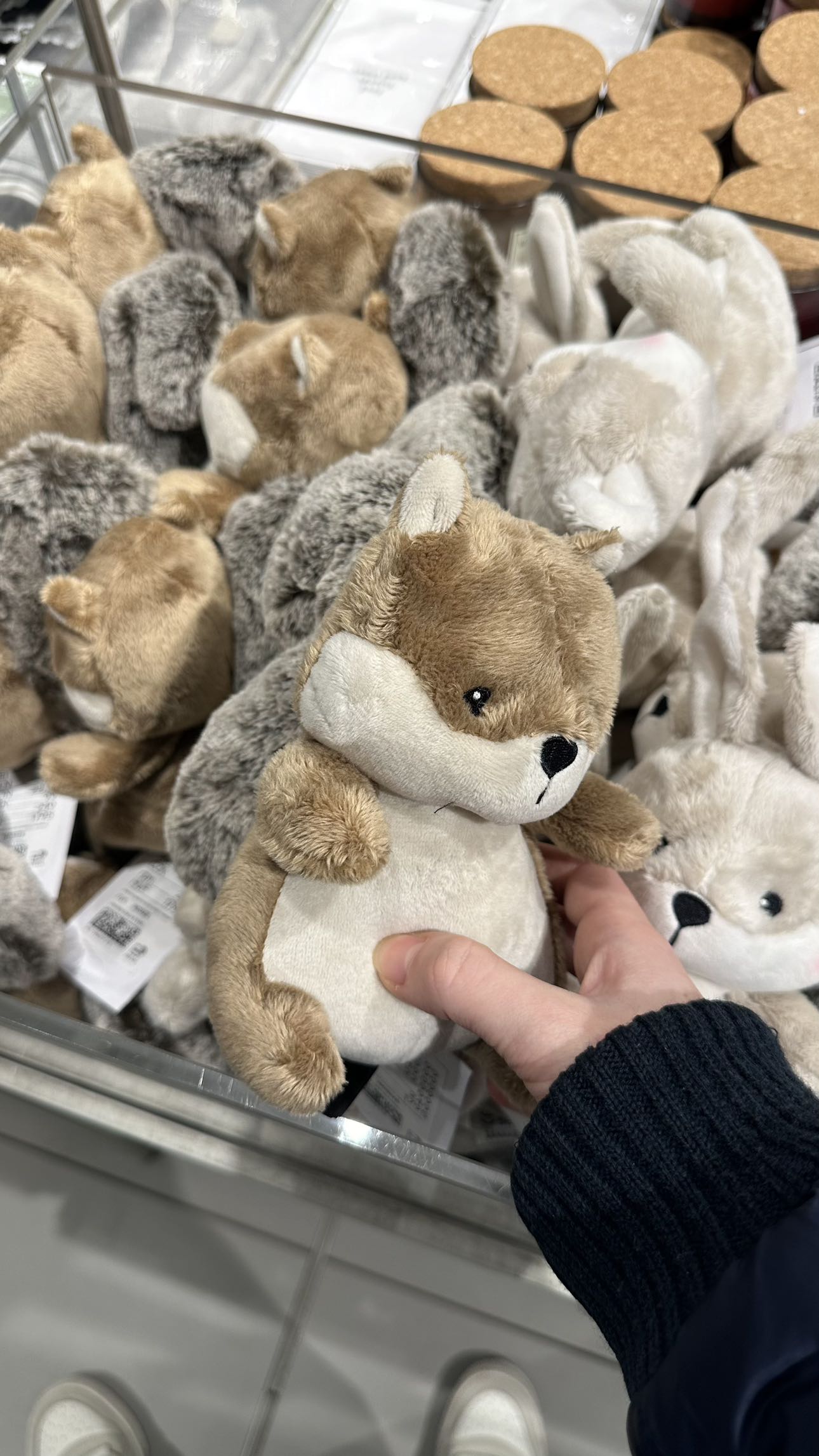 mira.0004 snapchat image archive image