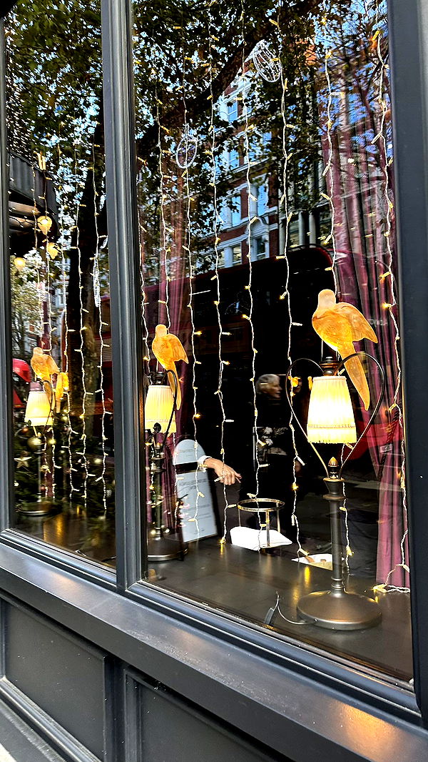 mira.0004 image ~ Altpins