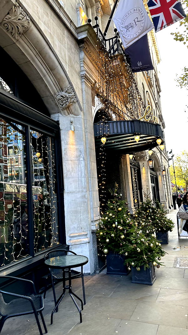 mira.0004 image ~ Altpins