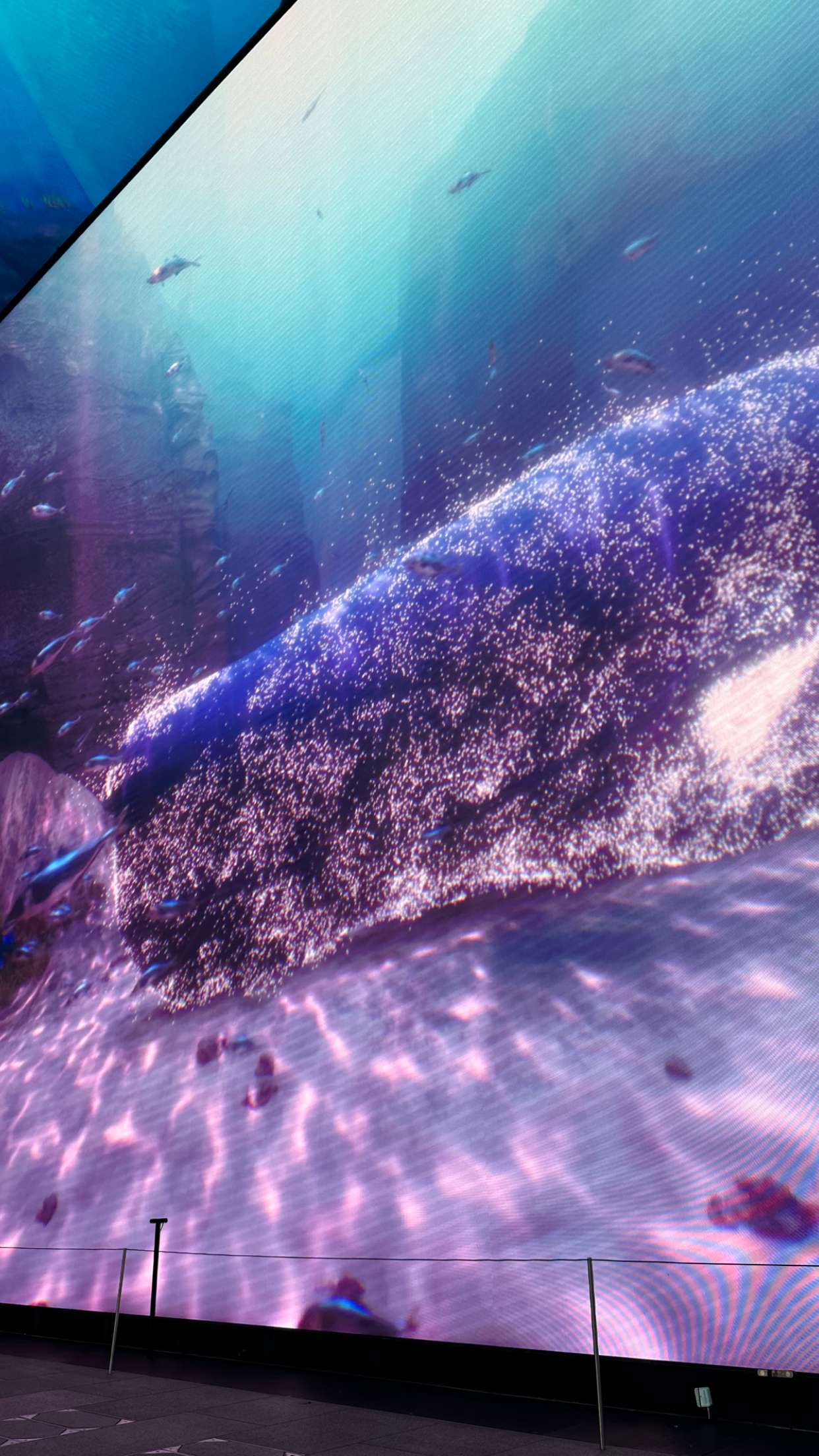 mira.0004 snapchat image archive image