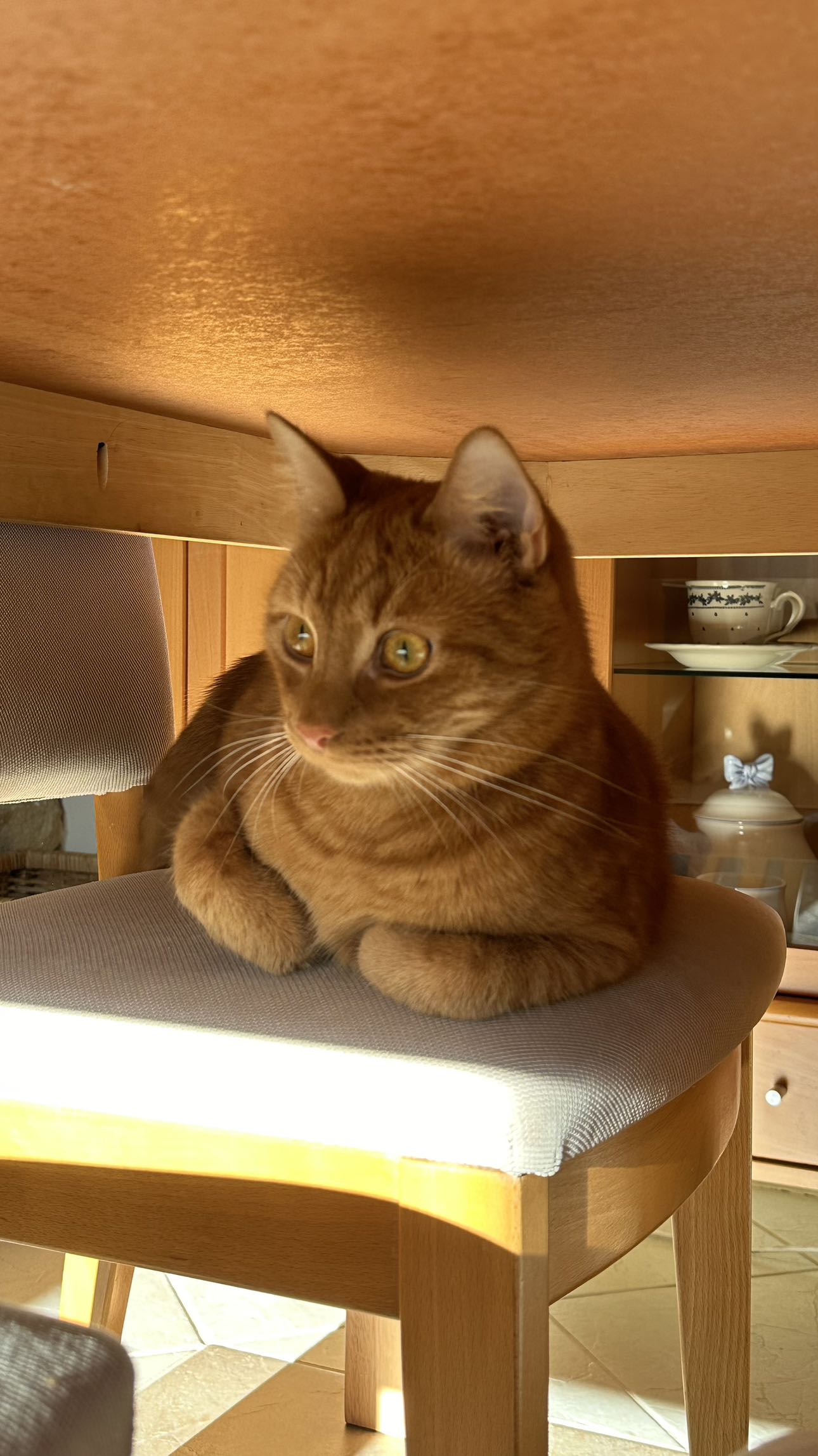 mira.0004 snapchat image archive image