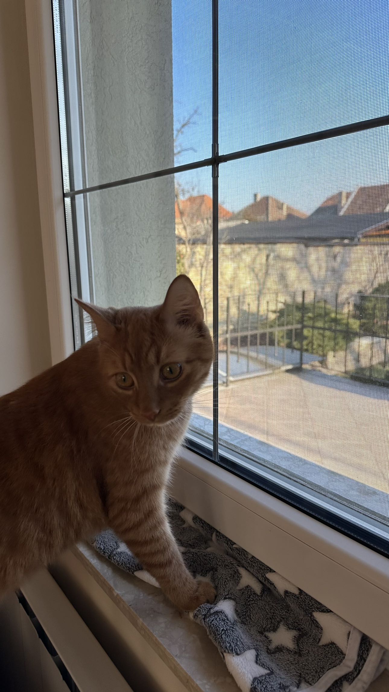 mira.0004 snapchat image archive image