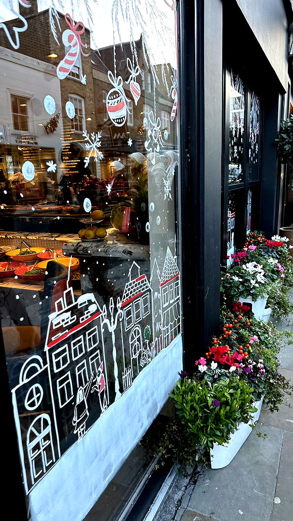 mira.0004 image ~ Altpins