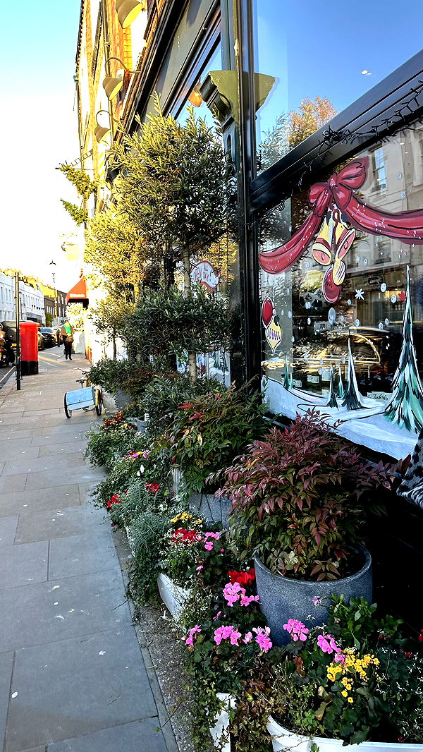 mira.0004 image ~ Altpins