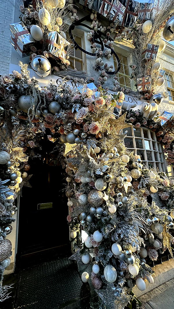 mira.0004 image ~ Altpins