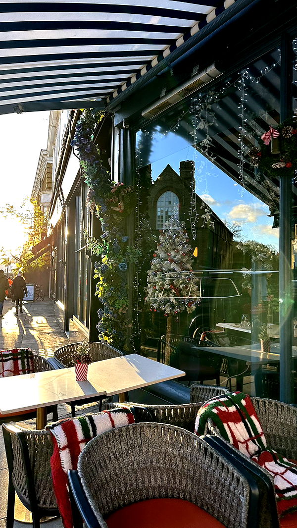 mira.0004 image ~ Altpins