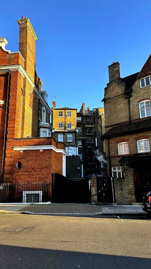 mira.0004 image ~ Altpins