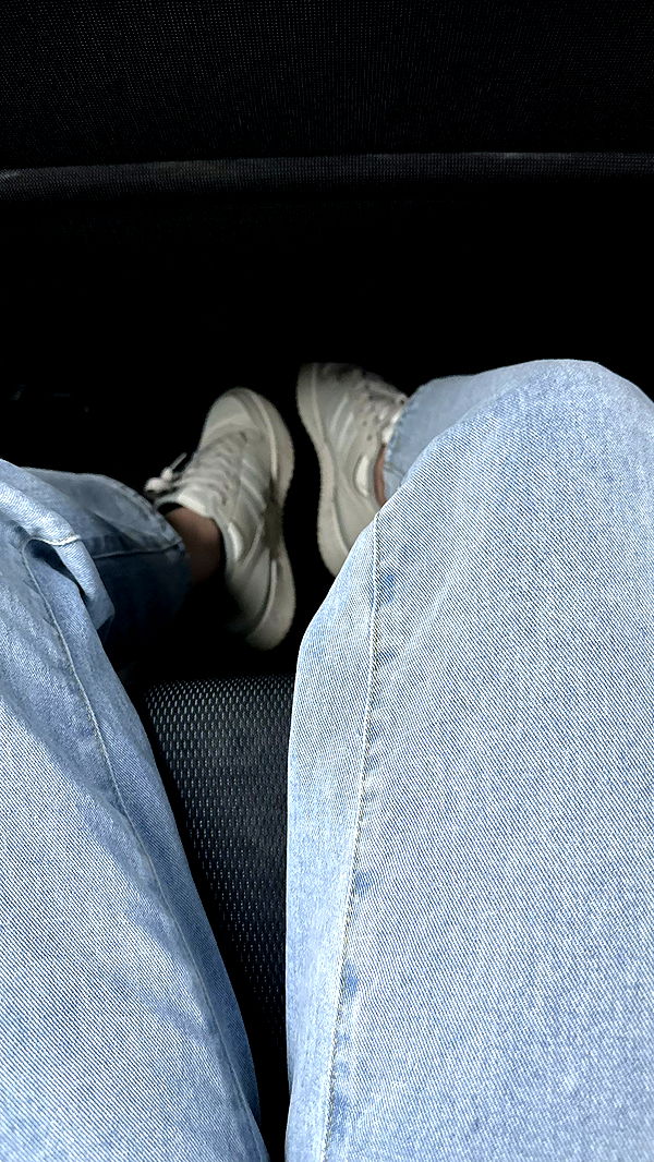 mira.0004 image ~ Altpins