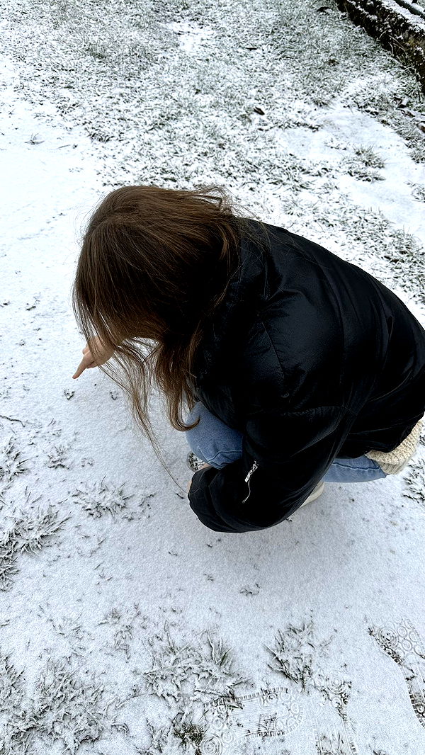 mira.0004 image ~ Altpins