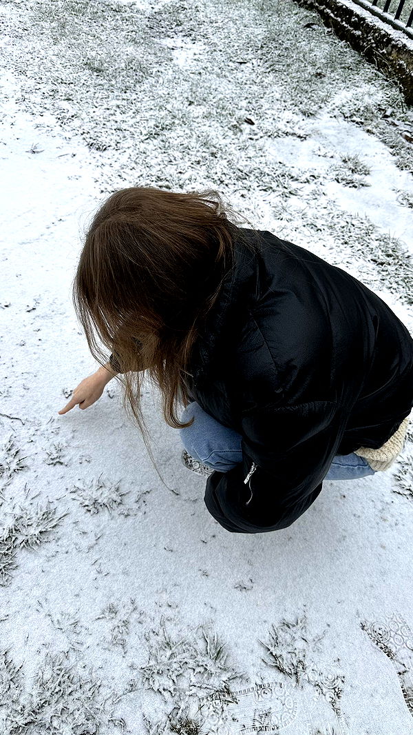 mira.0004 image ~ Altpins