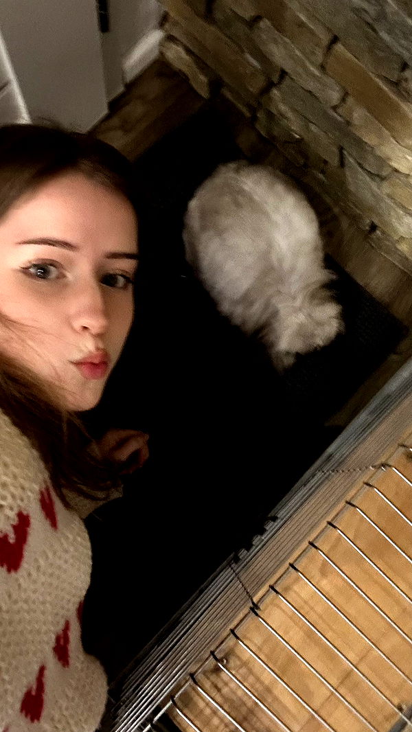 mira.0004 image ~ Altpins