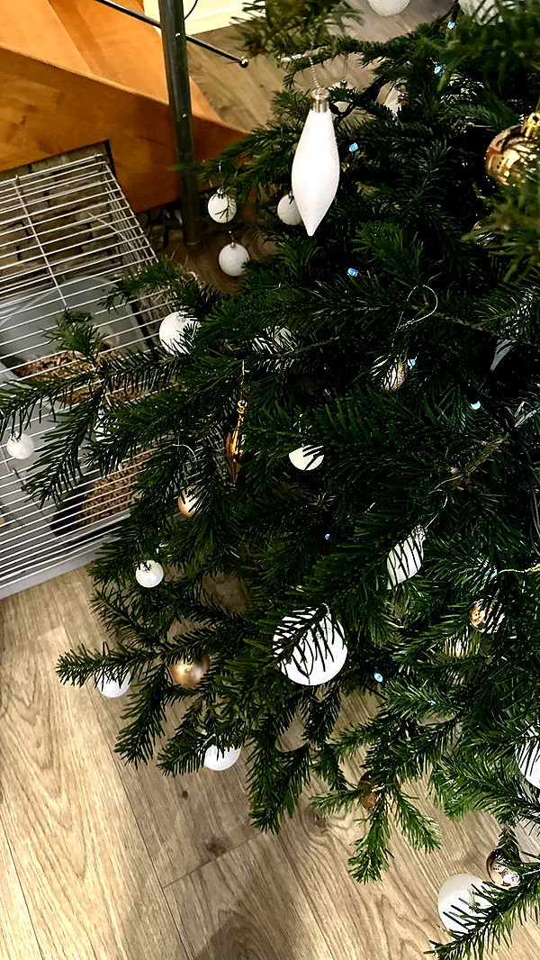 mira.0004 image ~ Altpins