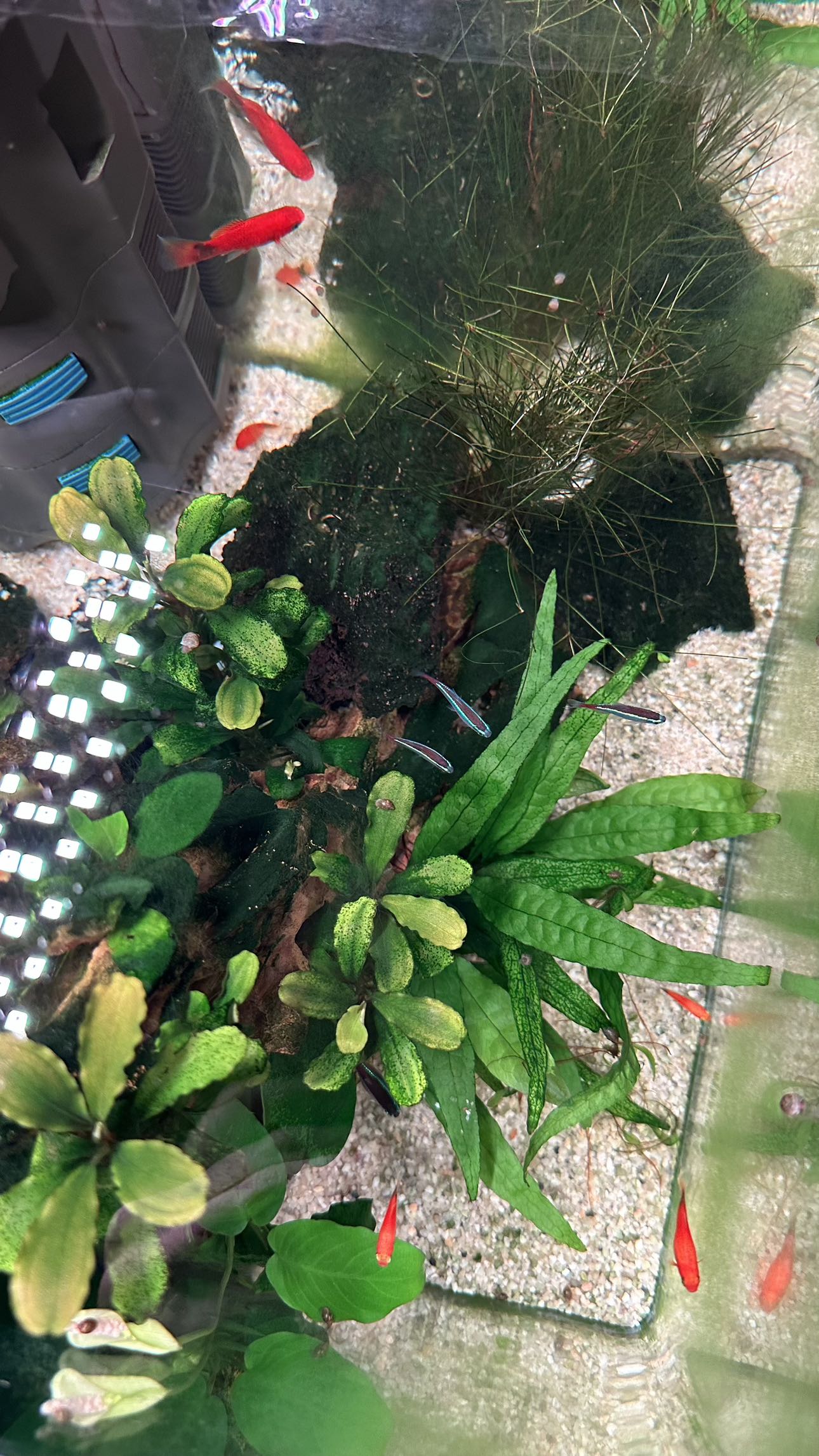 mira.0004 snapchat image archive image