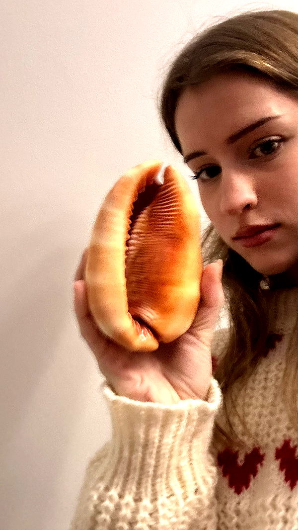 mira.0004 image ~ Altpins