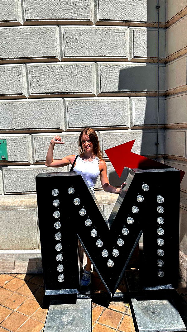 mira.0004 image ~ Altpins