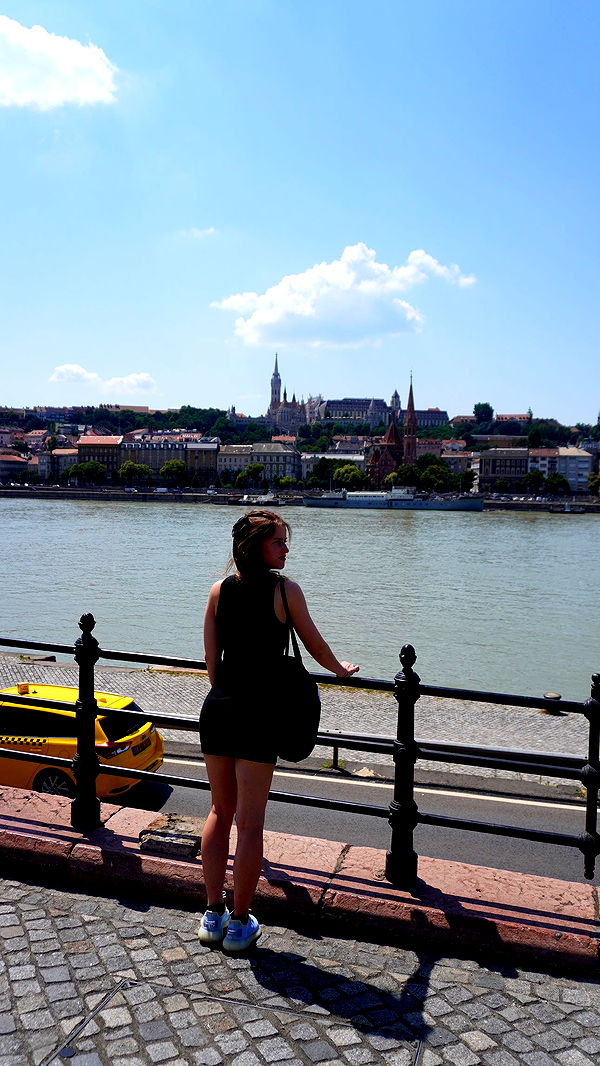 mira.0004 image ~ Altpins