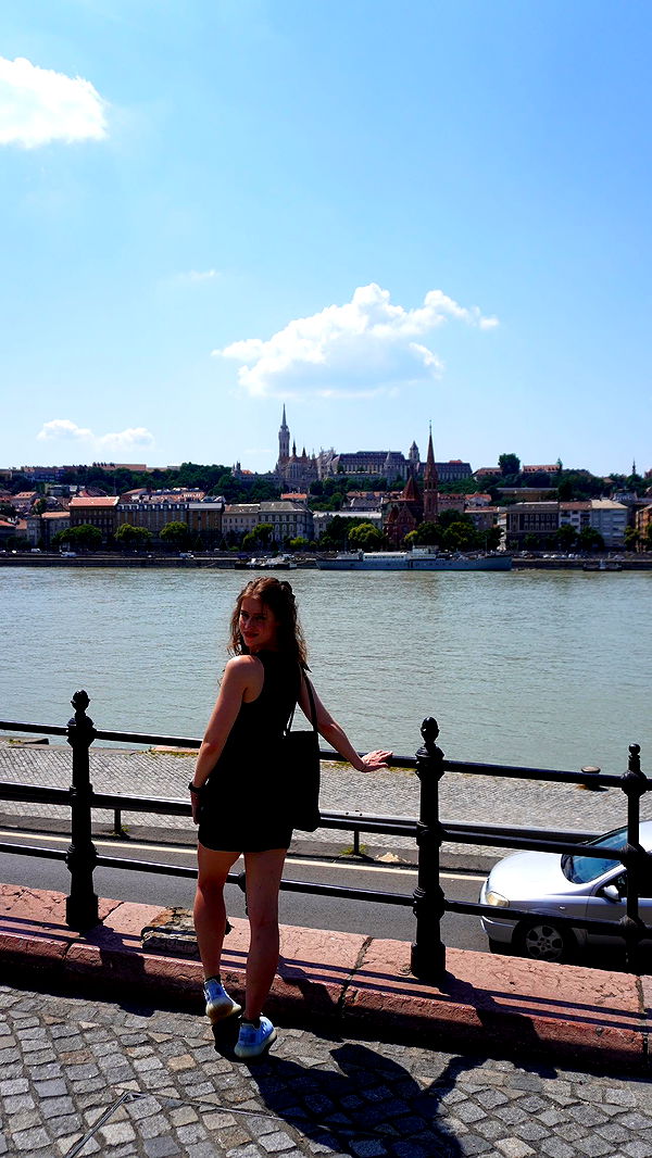 mira.0004 image ~ Altpins