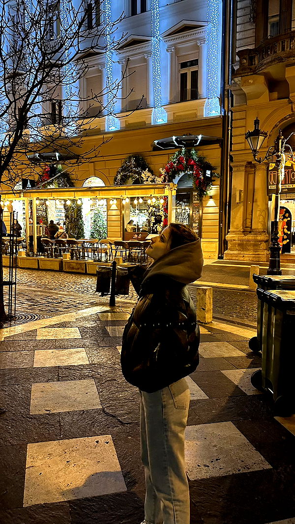 mira.0004 image ~ Altpins