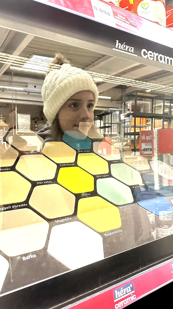 mira.0004 image ~ Altpins