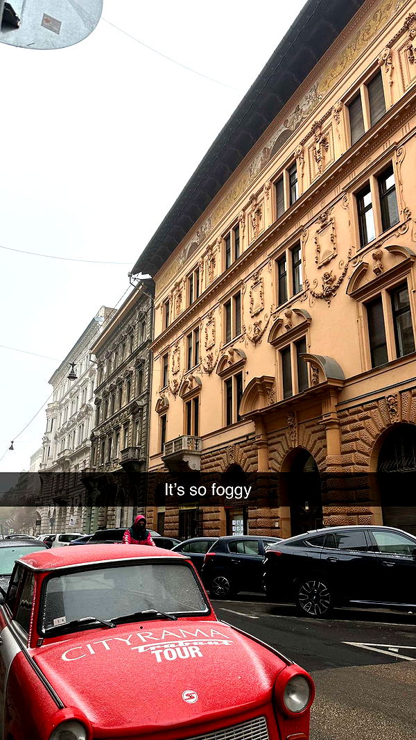 mira.0004 image ~ Altpins