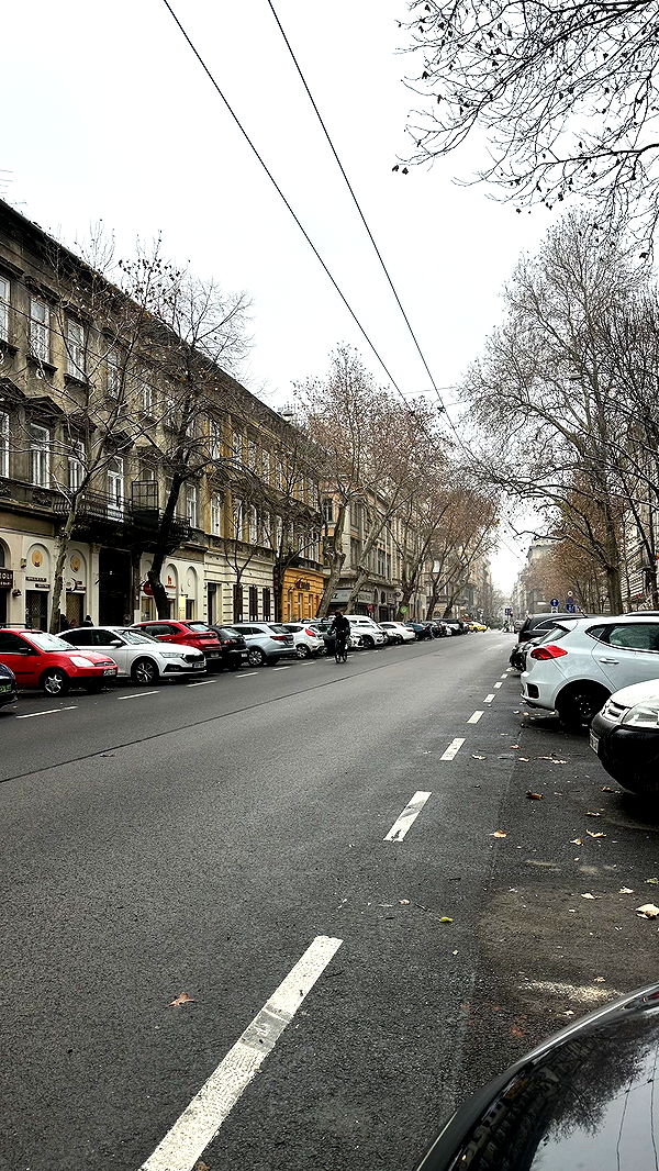 mira.0004 image ~ Altpins