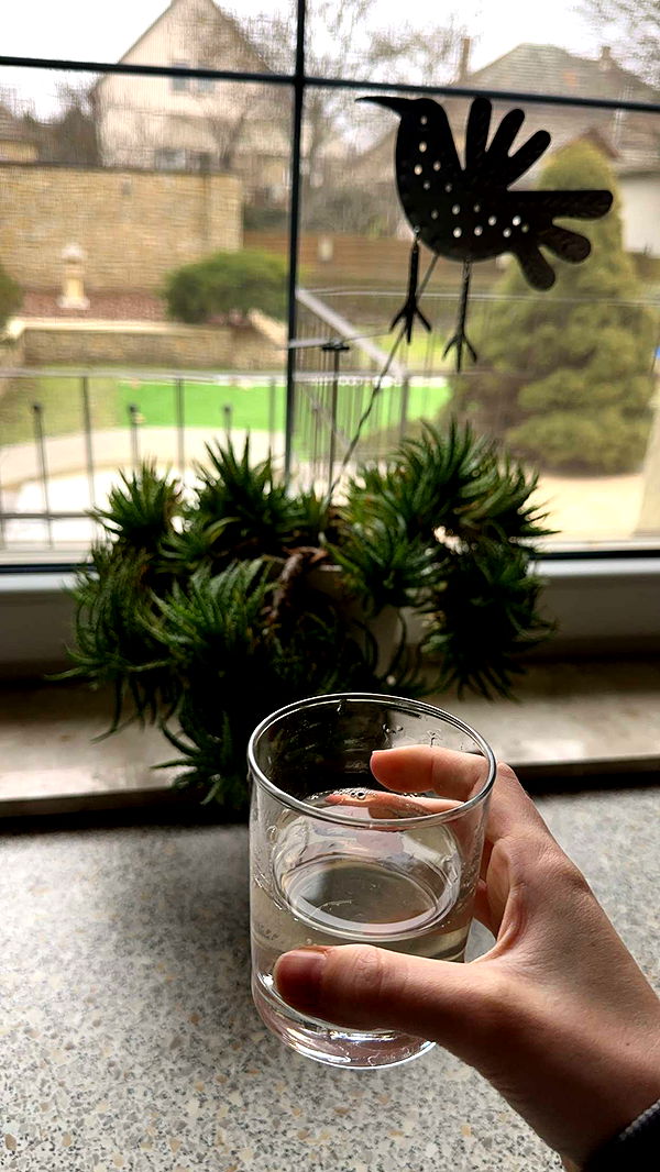 mira.0004 image ~ Altpins