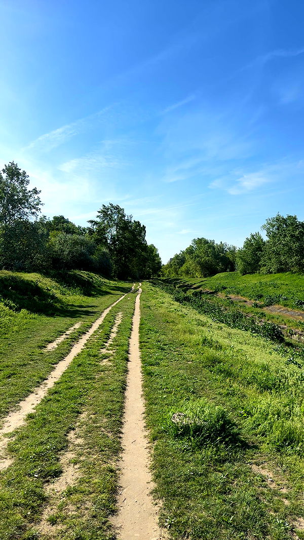 mira.0004 image ~ Altpins