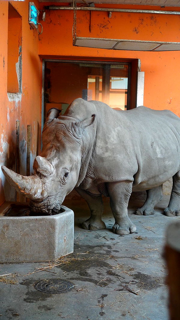 mira.0004 image ~ Altpins