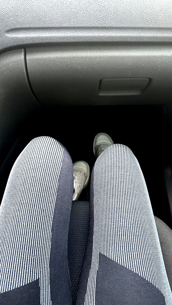 mira.0004 image ~ Altpins