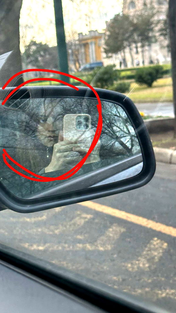 mira.0004 image ~ Altpins