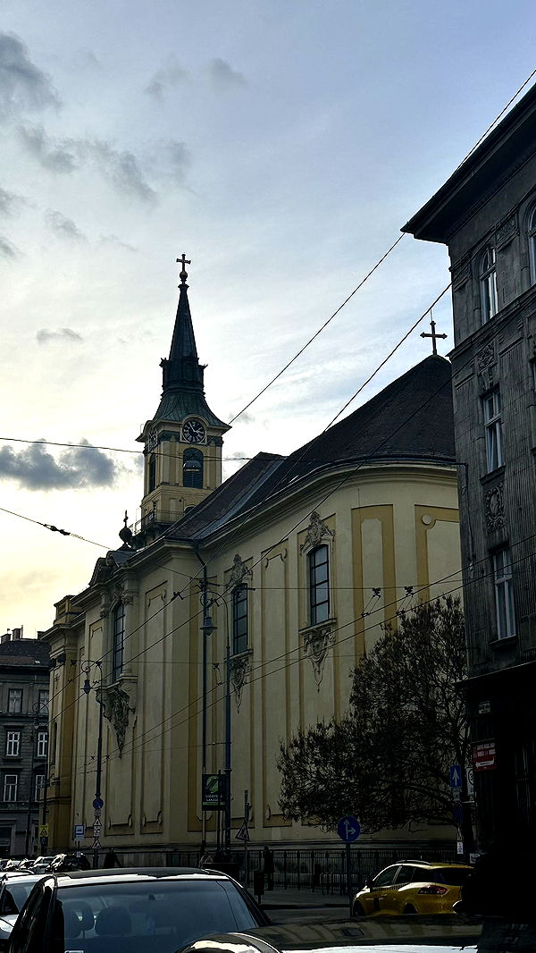 mira.0004 image ~ Altpins