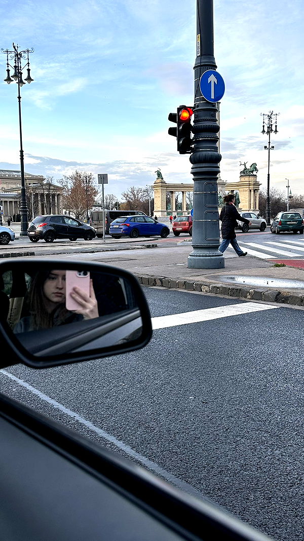 mira.0004 image ~ Altpins