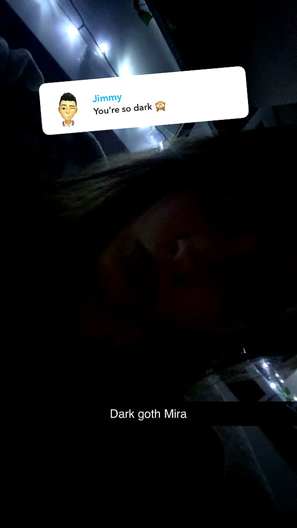 mira.0004 image ~ Altpins